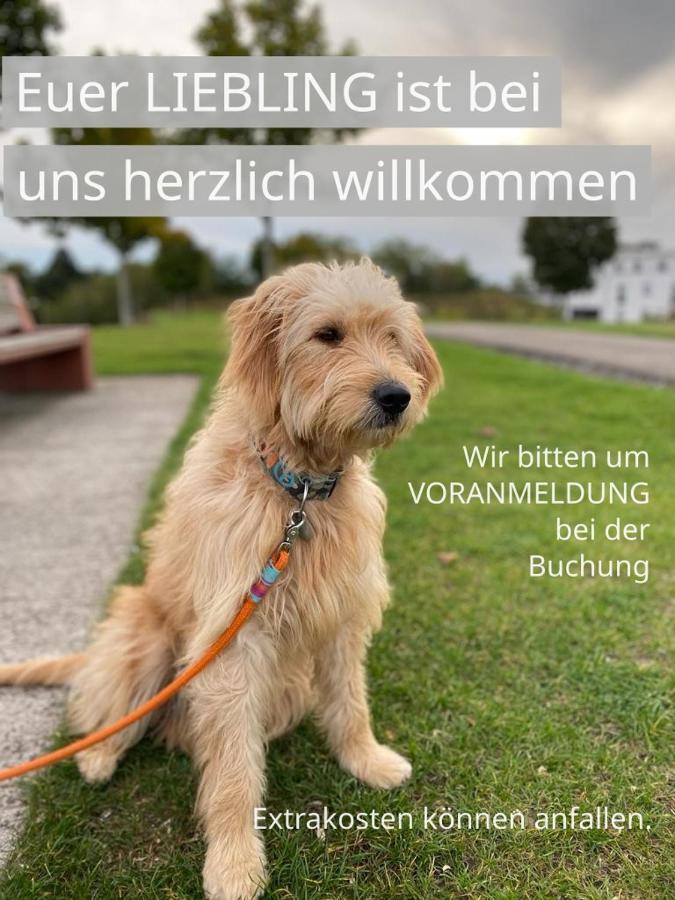 Fewo Clemens - Wohnkueche + 2 Schlafraeume + Bad + Terrasse Hamm  Eksteriør bilde